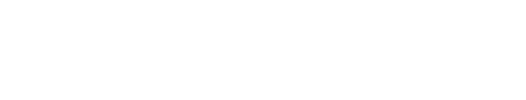 Visitantes – Wire Tech México